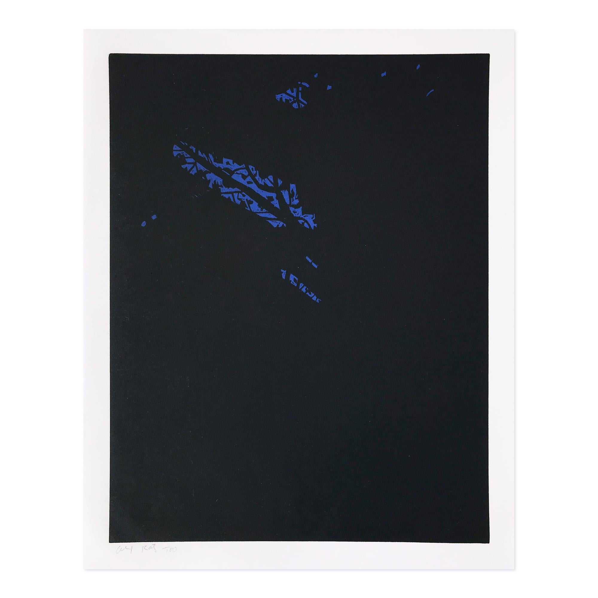Alex Katz, Notte (da Paesaggi del Nord): xilografia, Pop Art, stampa firmata