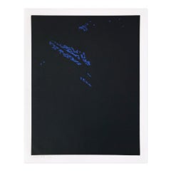 Alex Katz, Notte (da Paesaggi del Nord): xilografia, Pop Art, stampa firmata
