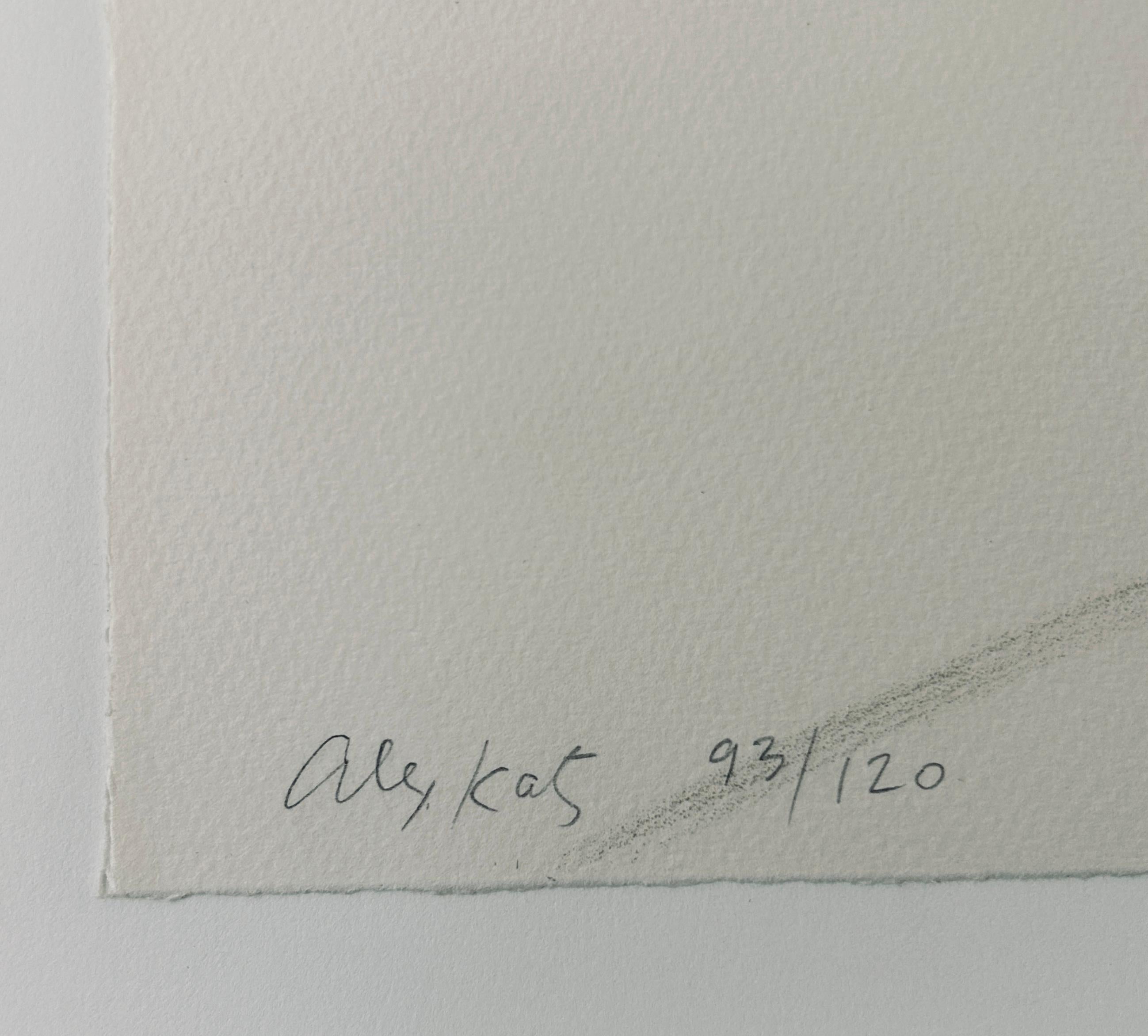 Alex Katz 'Vincent' Limited Edition Signed Lithograph Print For Sale 3