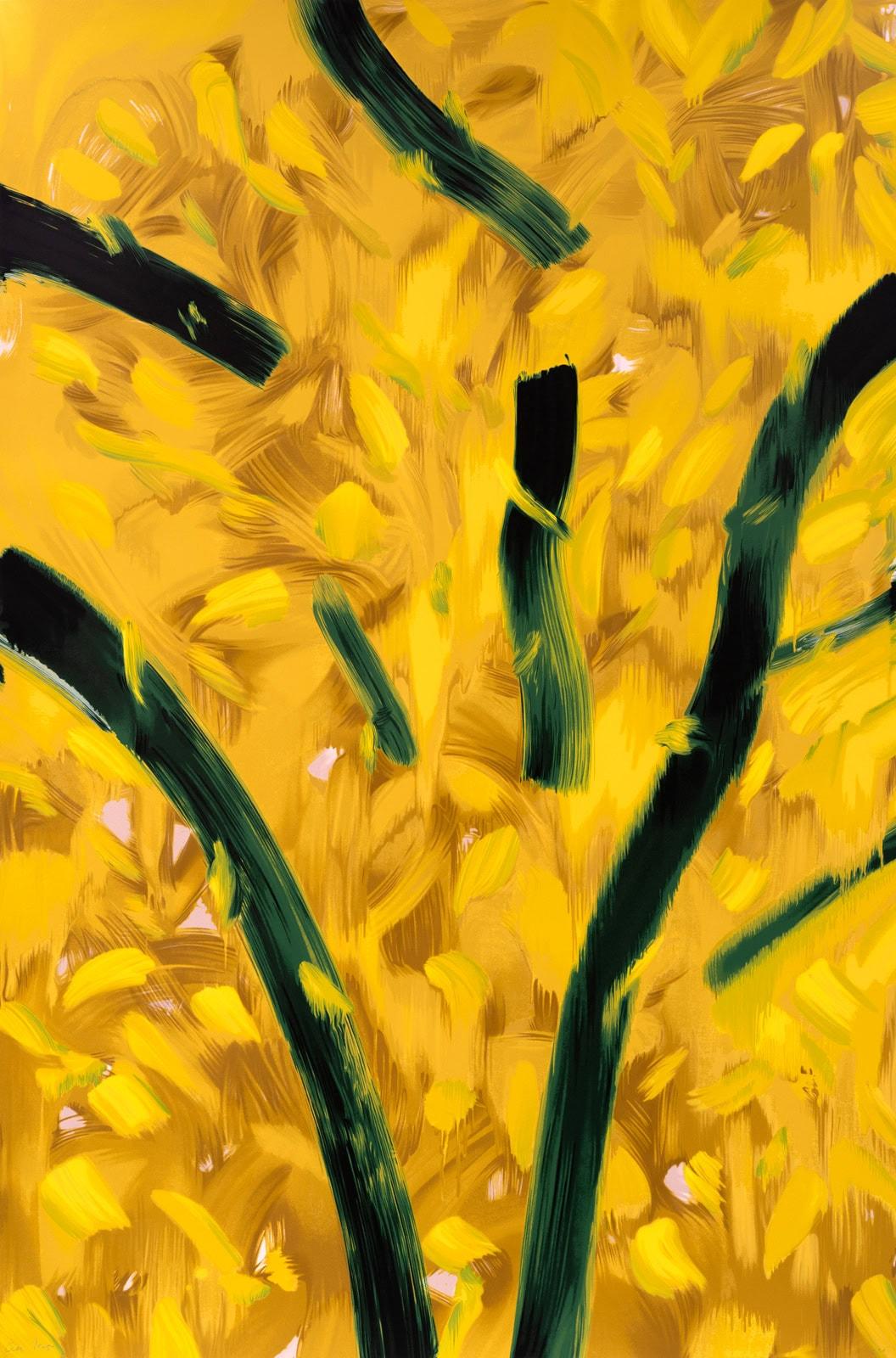 Autumn 6, 2023