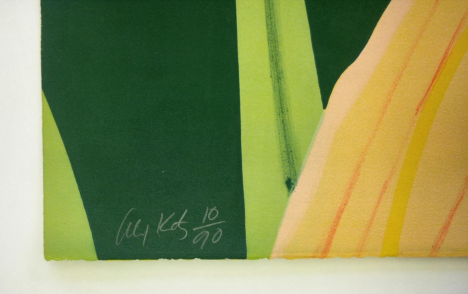 Day Lily 1, 1969,  Framed 28x35 - Orange Still-Life Print by Alex Katz