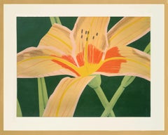 Day Lily 1, 1969,  Framed 28x35
