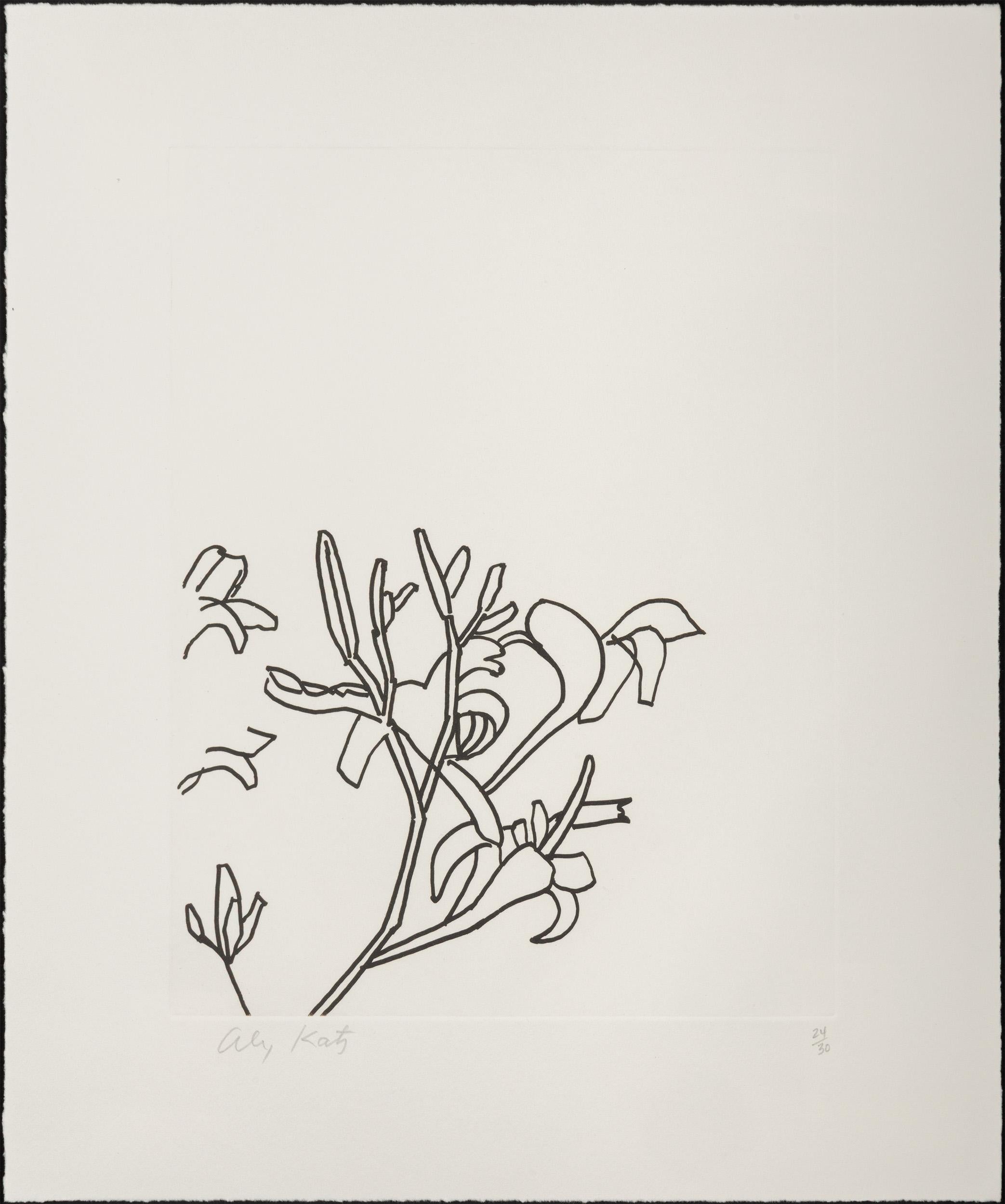 Edges 2 For Sale 10