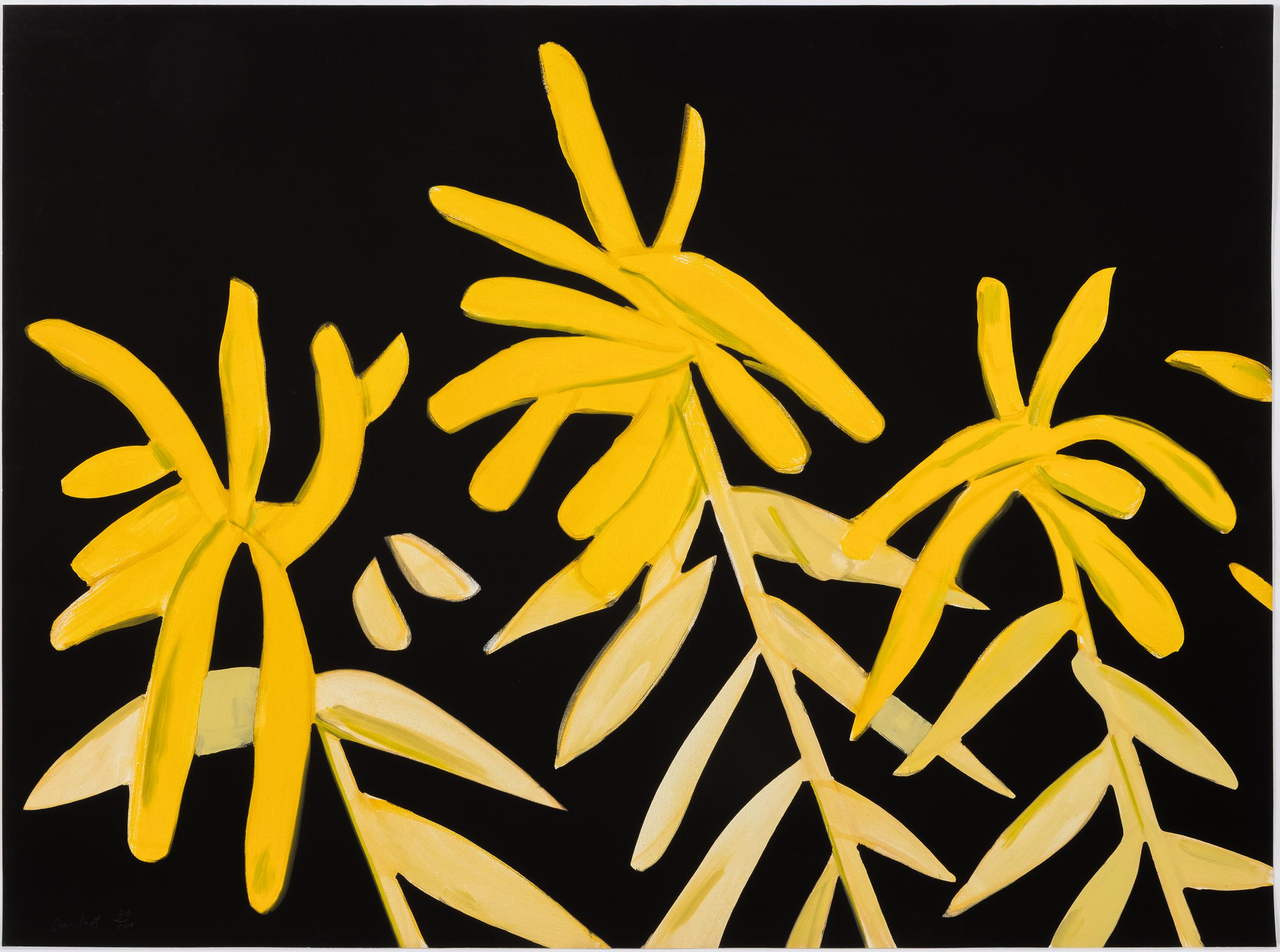 Goldenrod For Sale 4