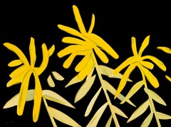 Vara de oro (del Portfolio Flores)