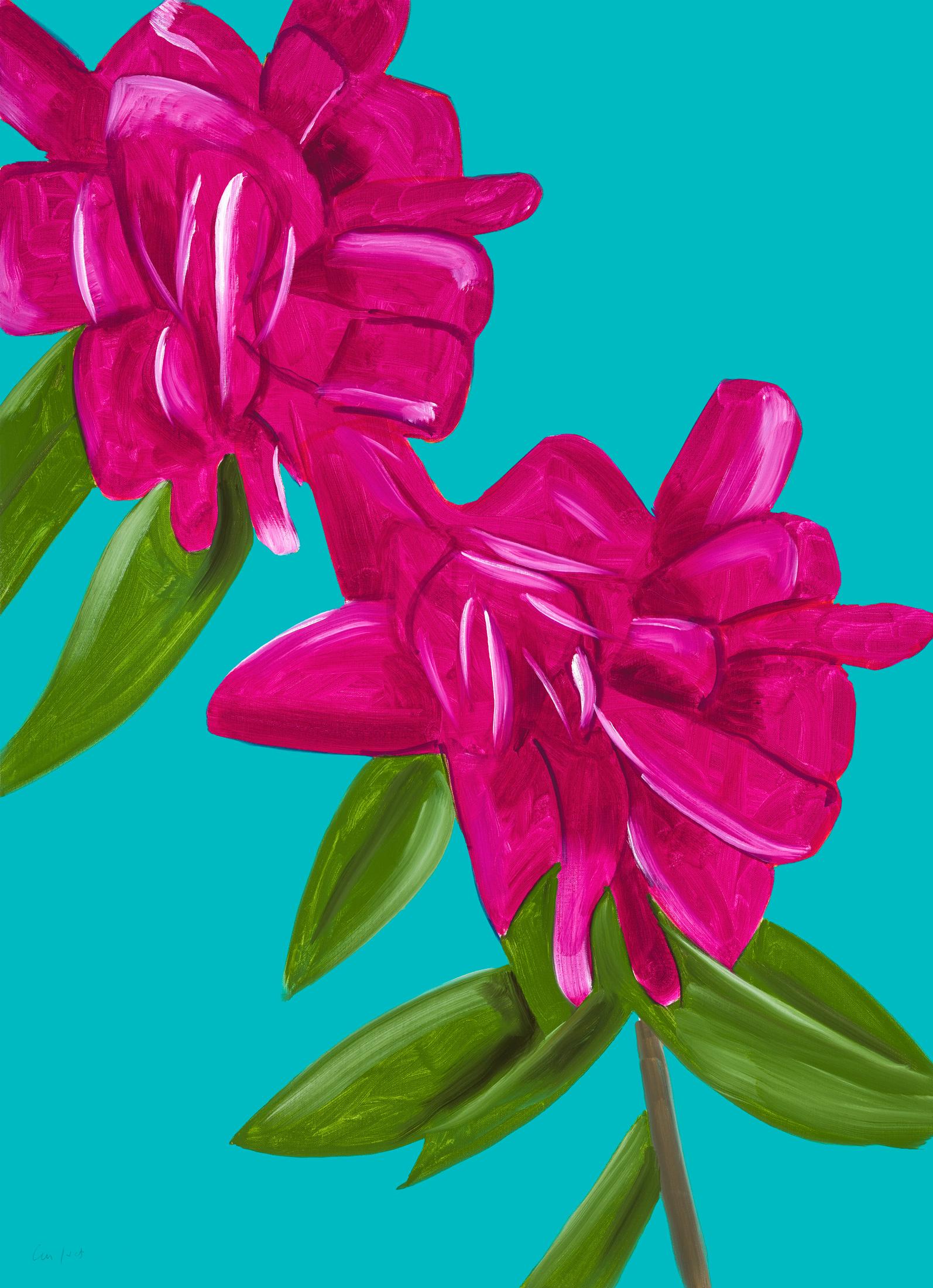 Peonías (del Portfolio Flores)