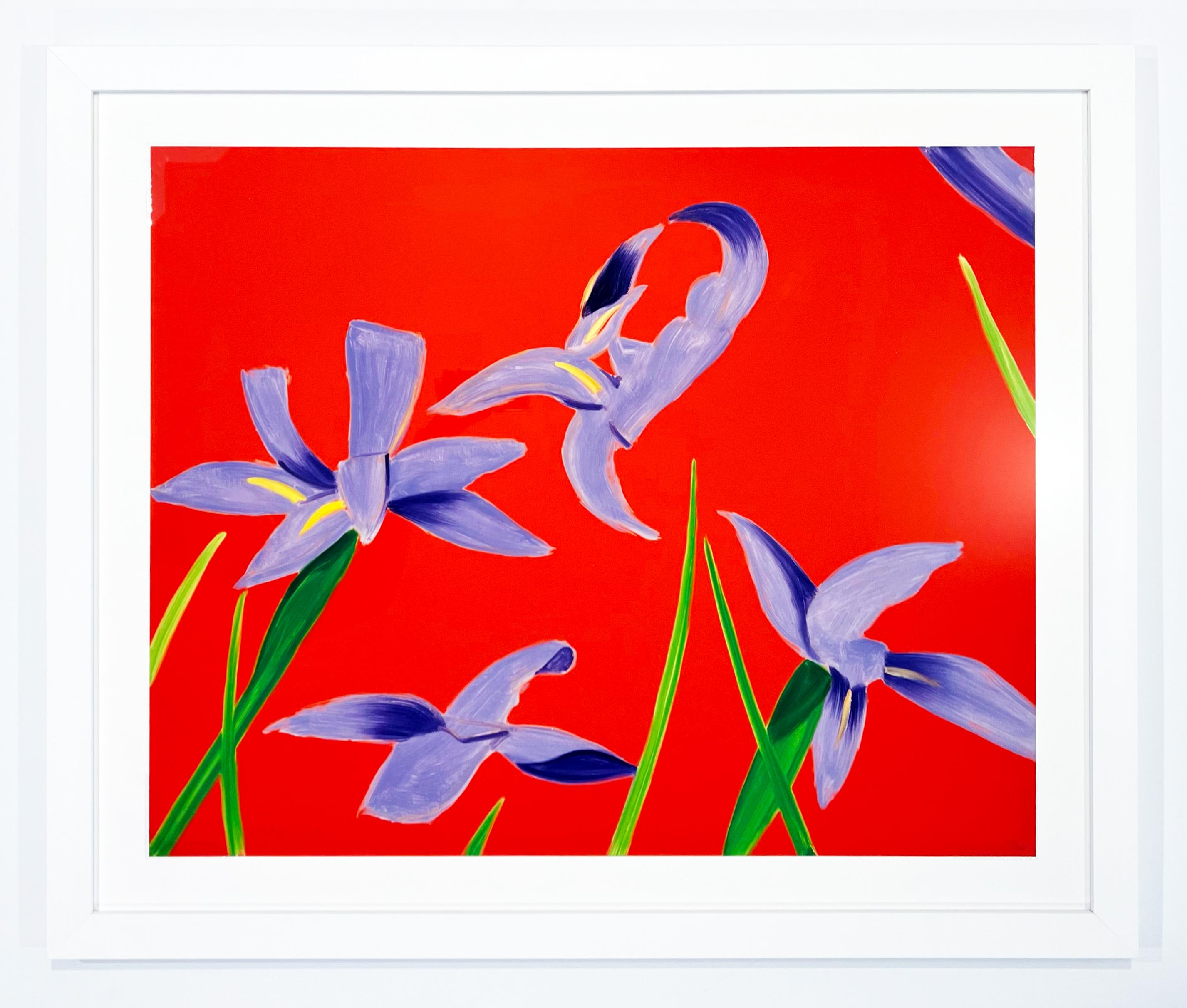 Purple Irises on Red - Print by Alex Katz