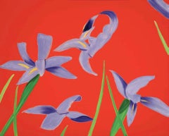 Irises violettes sur rouge