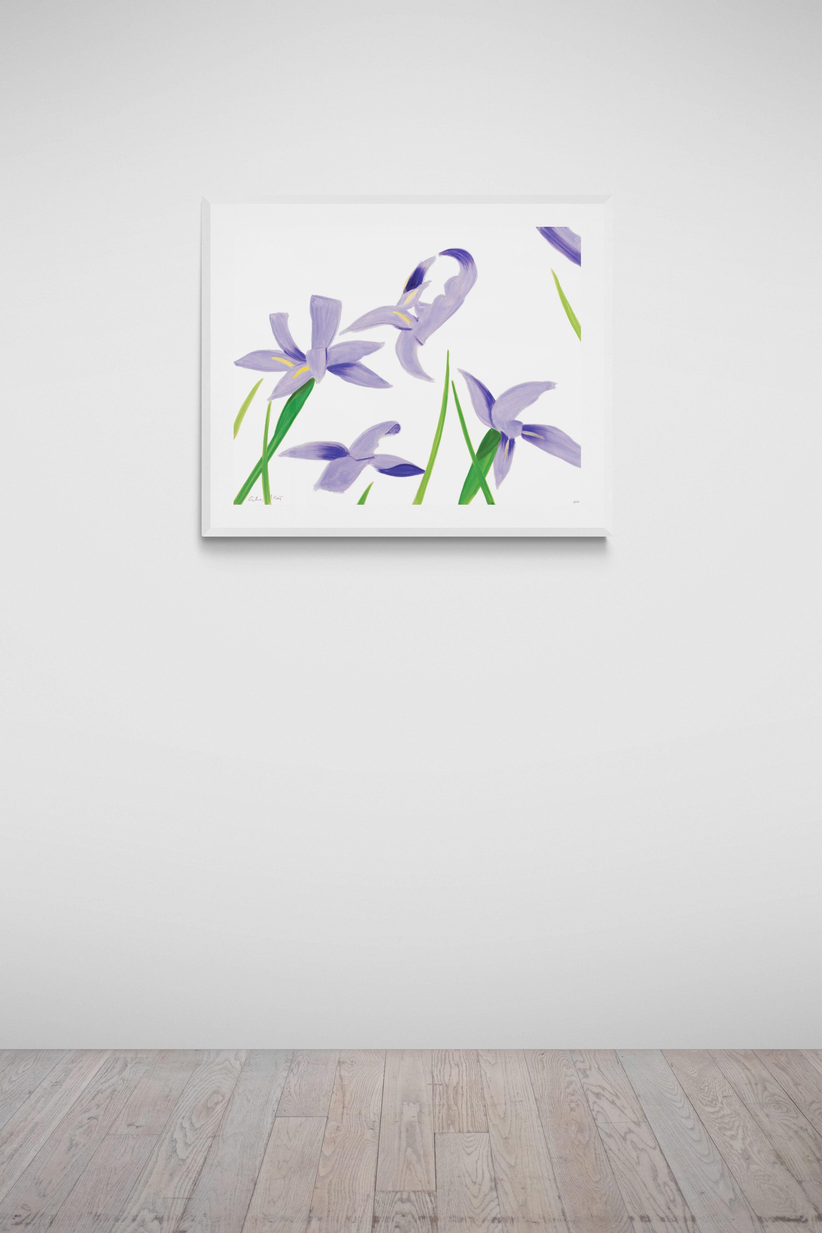 Purple Irises on White 2