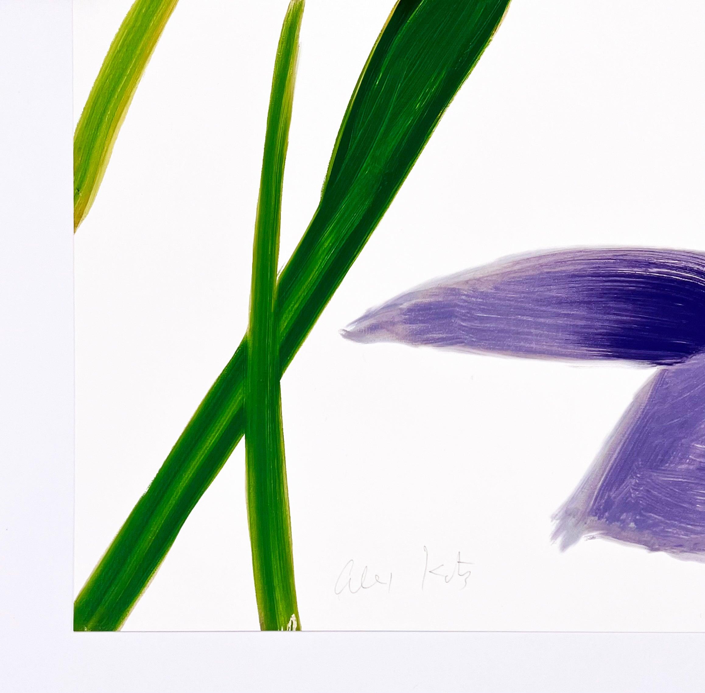 Artist: Alex Katz
Title: Purple Irises on White
Medium: Archival pigment ink on Innova Etching Cotton Rag 315 gsm
Date: 2023
Edition: 42/100
Sheet Size: 24