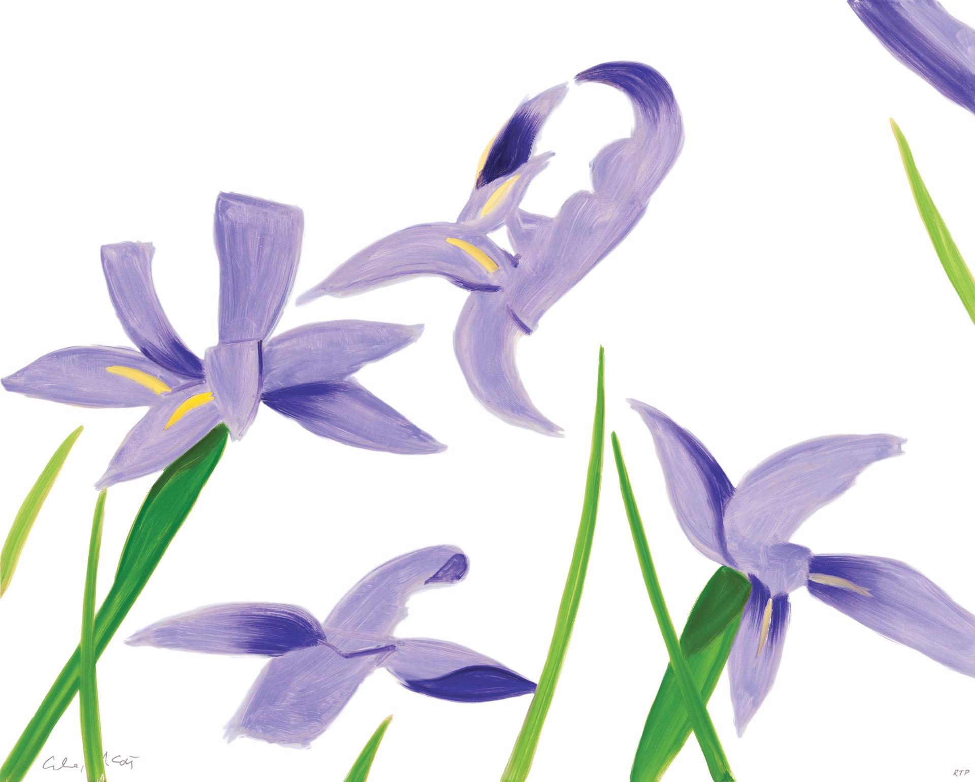 Purple Irises on White - Print by Alex Katz