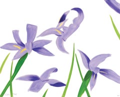Irises violettes sur blanches
