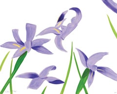 Purple Irises on White