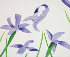 Irises violettes sur blanches