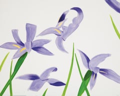 „Purple Irises on White“, Iris, Lila, Weiß, Blumen, Landschaft