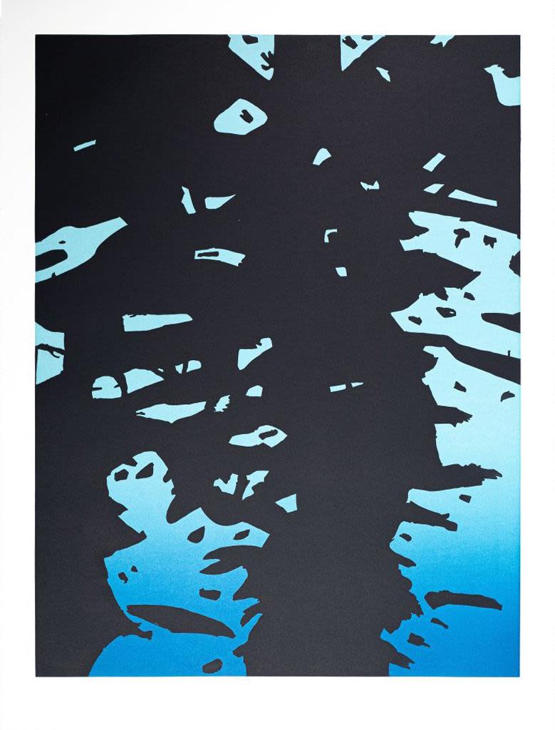 Reflection II Screen Print, Abstract Expressionist, Framed, 2011