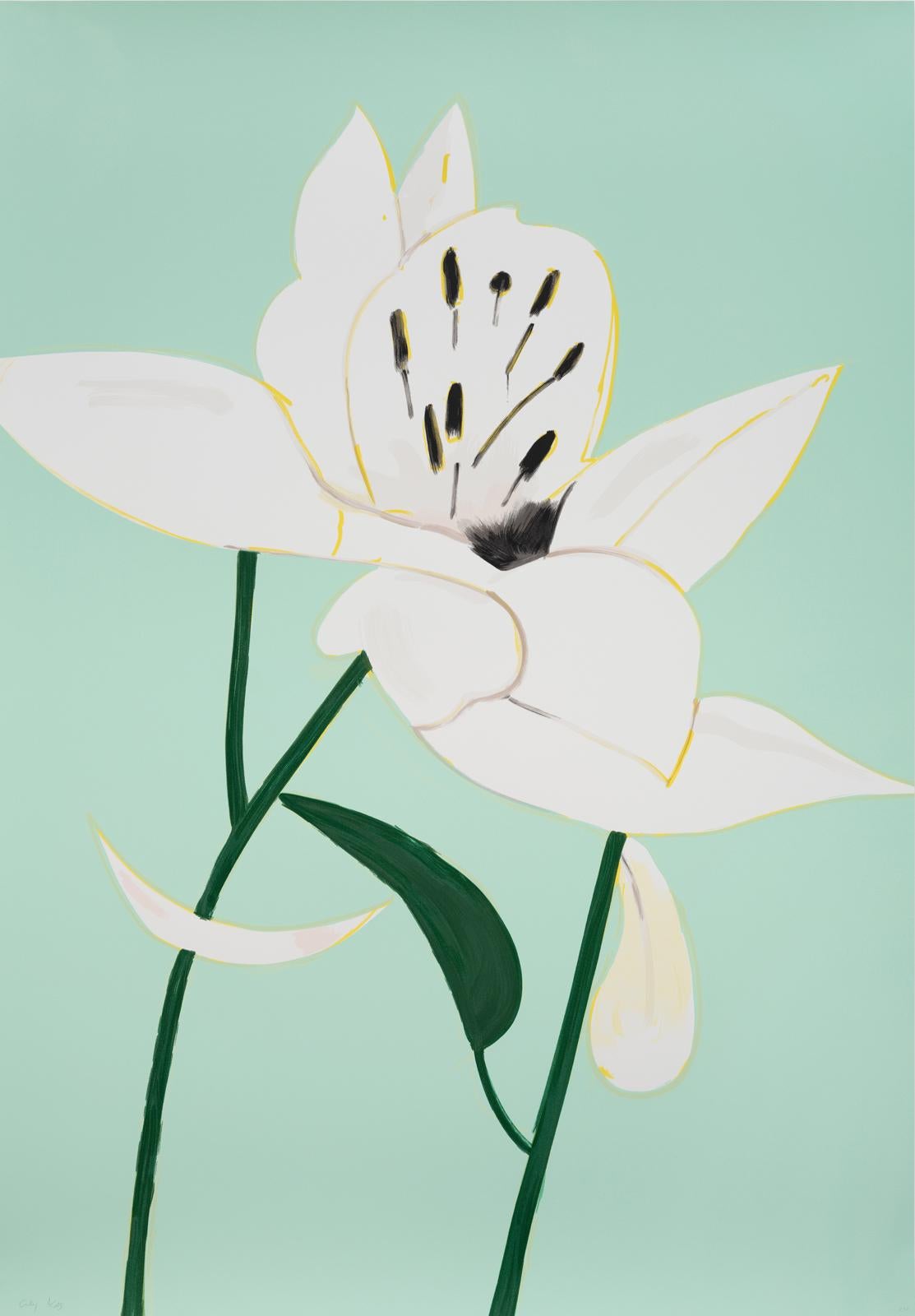 Lys blancs 4