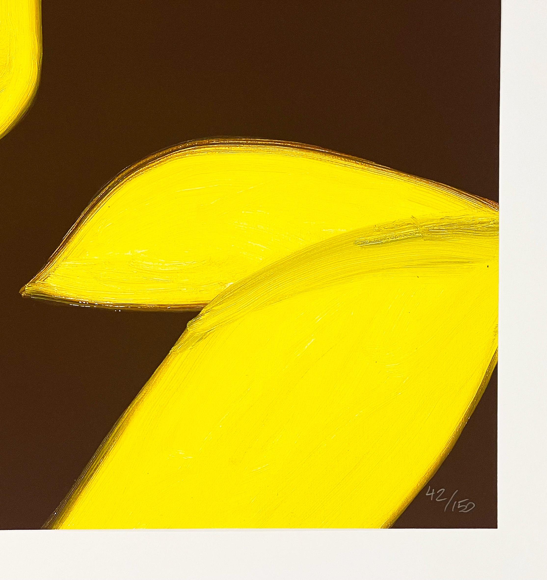 Artist: Alex Katz
Title: Yellow Flags on Brown
Medium: Archival pigment ink print on Innova Etching Cotton Rag 315 gsm
Date: 2023
Edition: 42/150
Frame Size: 30 3/4