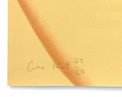 Ariel 2 (large framed hand signed silkscreen)