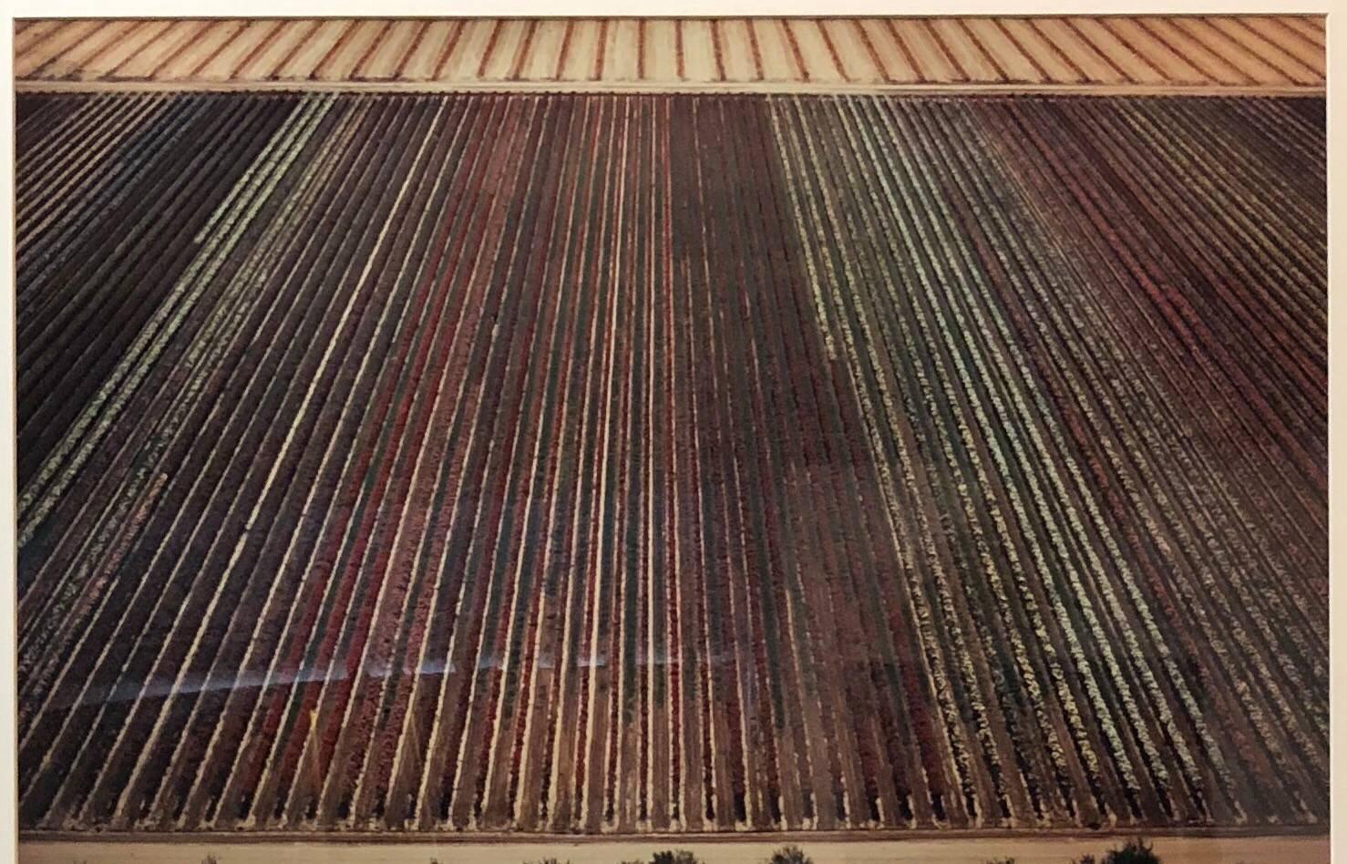 Vintage C-Print Abstrakte Farbe Luftbild Landschaftsfotografie Alex MacLean