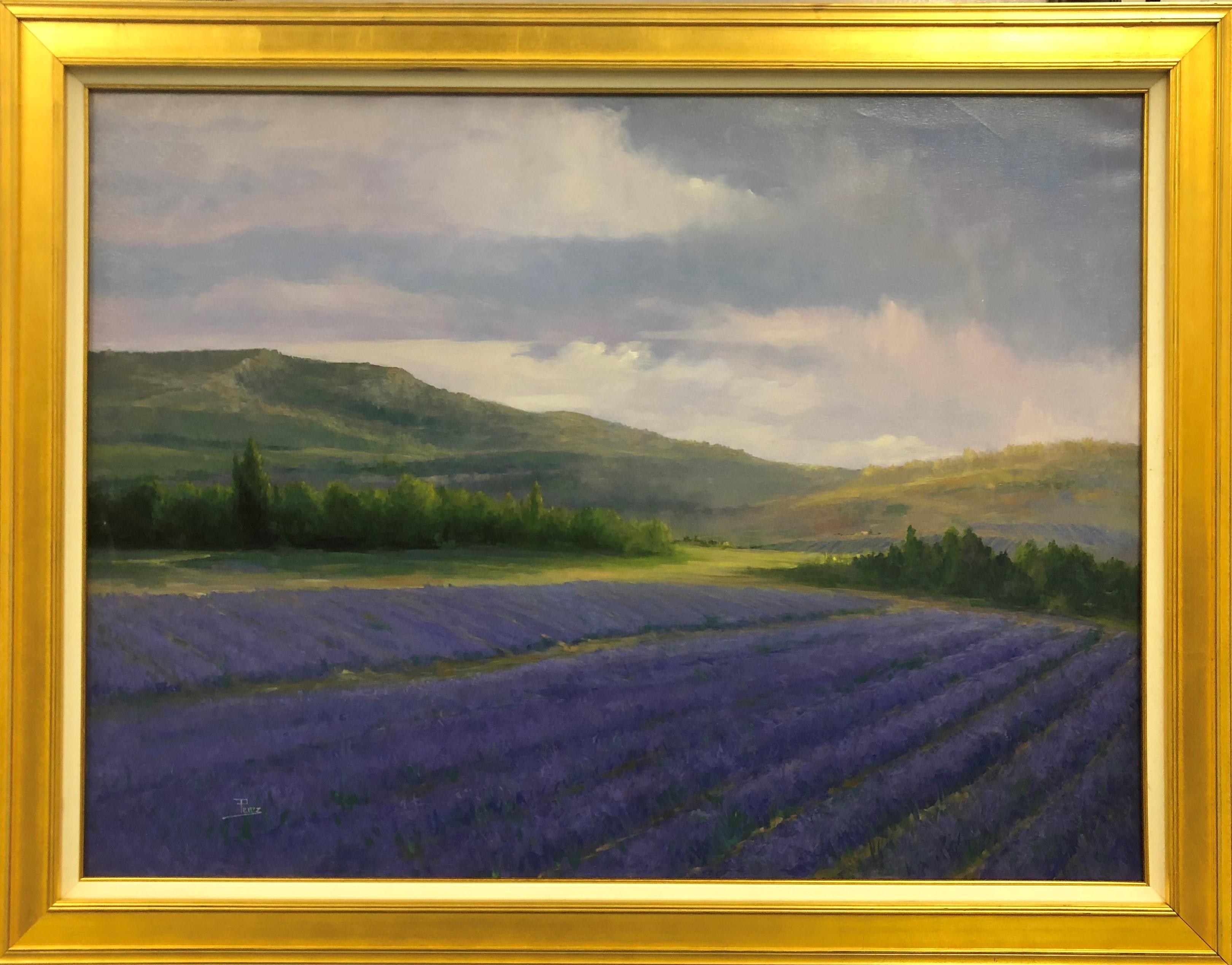 Alex Perez Landscape Painting - Lavender Hills-Framed Original Oil Painting on Canvas, with COA