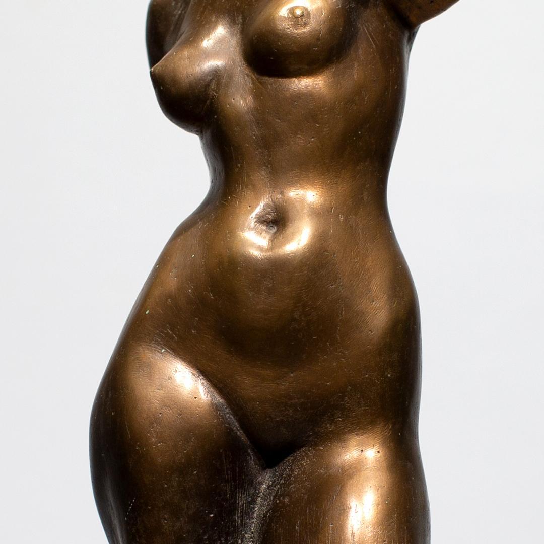 Klassischer weiblicher Torso, inspiriert von Beispielen der hohen griechischen Bildhauerei. Der Bildhauer erforscht die Linien und Formen des weiblichen Körpers, verkörpert die Vielfalt, verändert leicht die Posen.

Diese Skulptur wurde in der