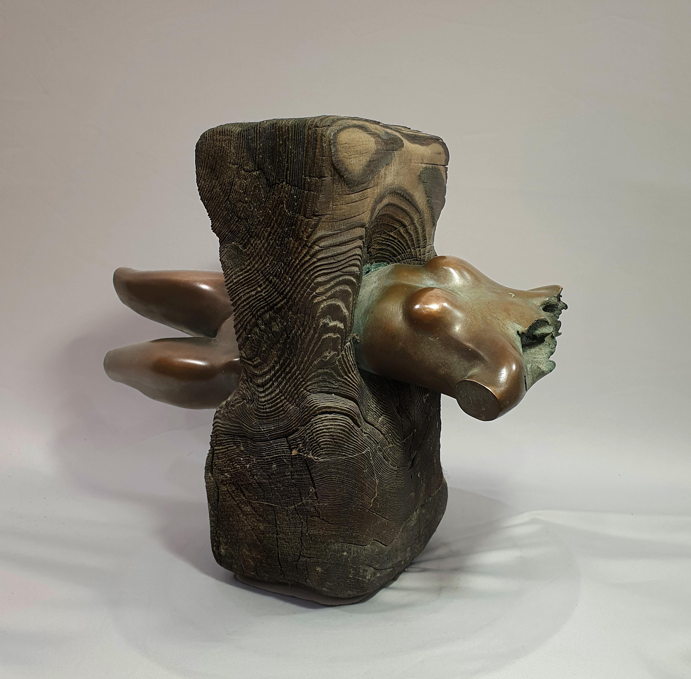 Alex Radionov Abstract Sculpture - Zero gravity. bronze and wood sculpture. One of a kind
