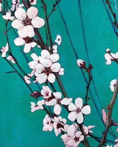 Cherry Blossoms