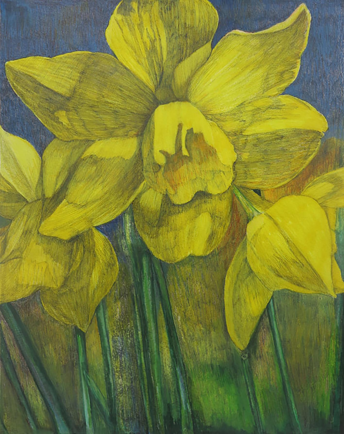 Daffodils