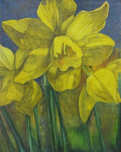 Narcisos