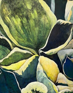 Hostas