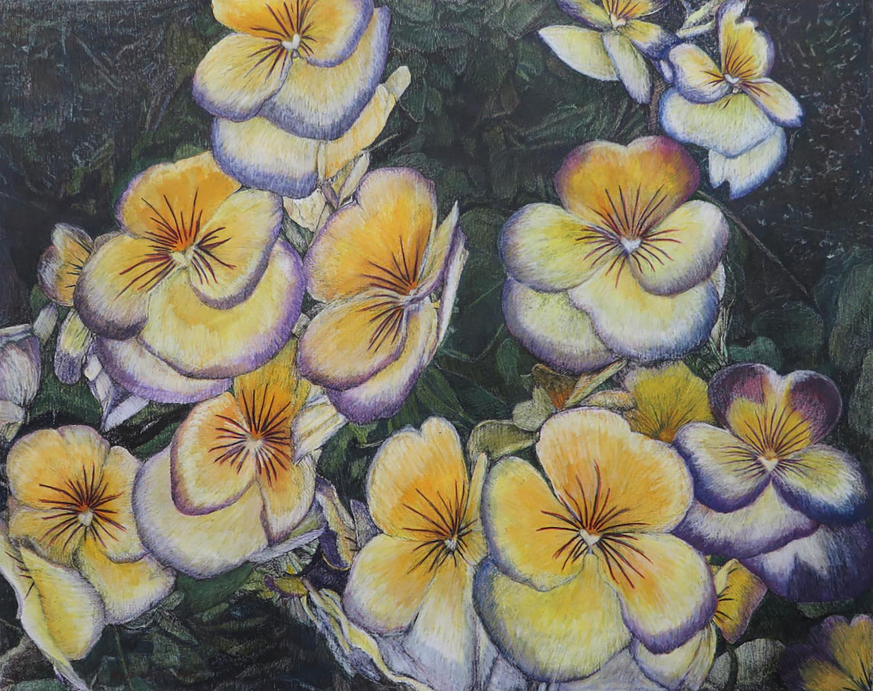 Pansies