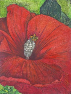 Ibisco a fiore rosso Portland