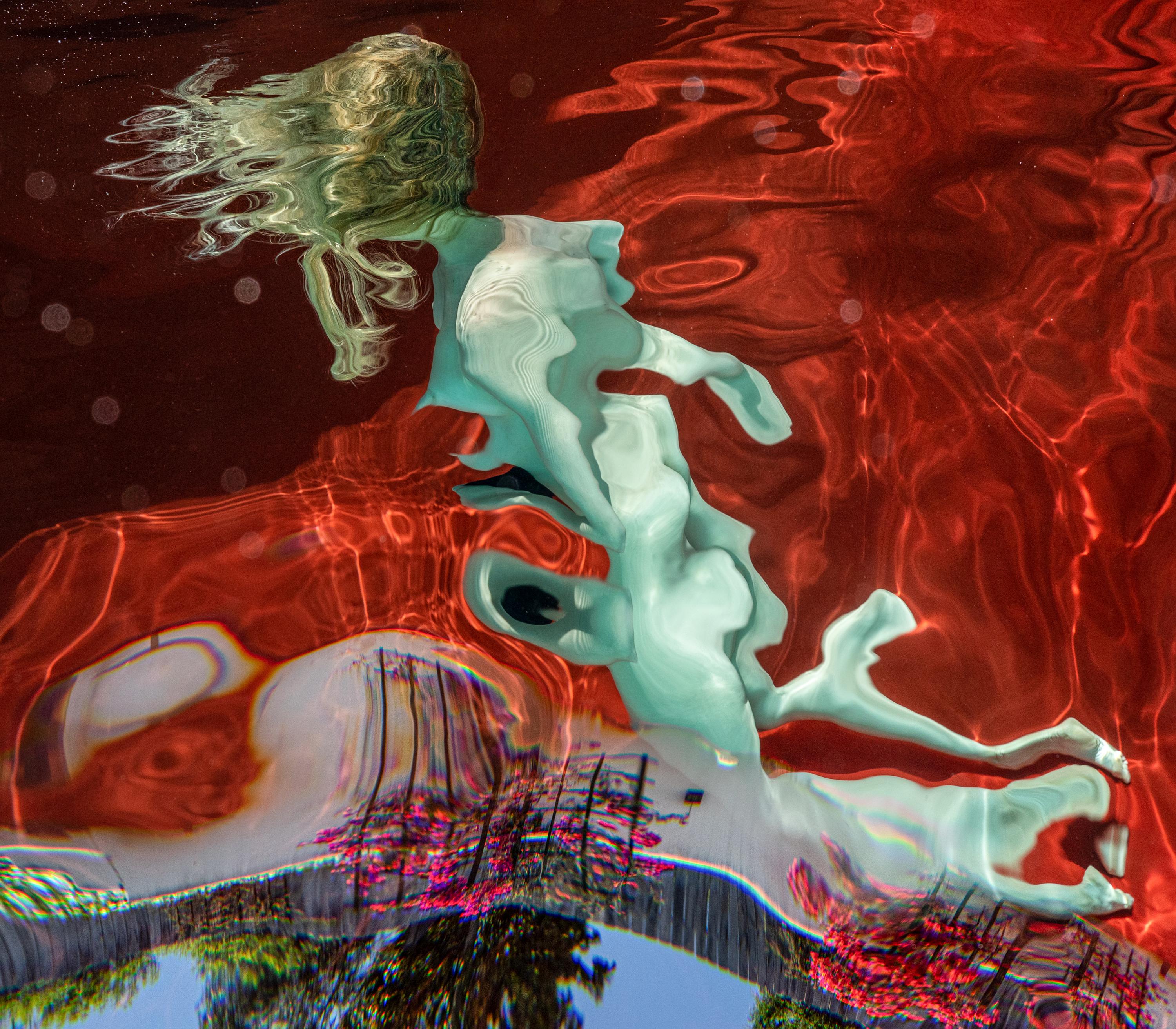 Alice - photograph of an underwater reflection - archival print 25 x 353