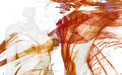 Autumn - underwater photograph - Four Seasons - print on paper 24 x 40"