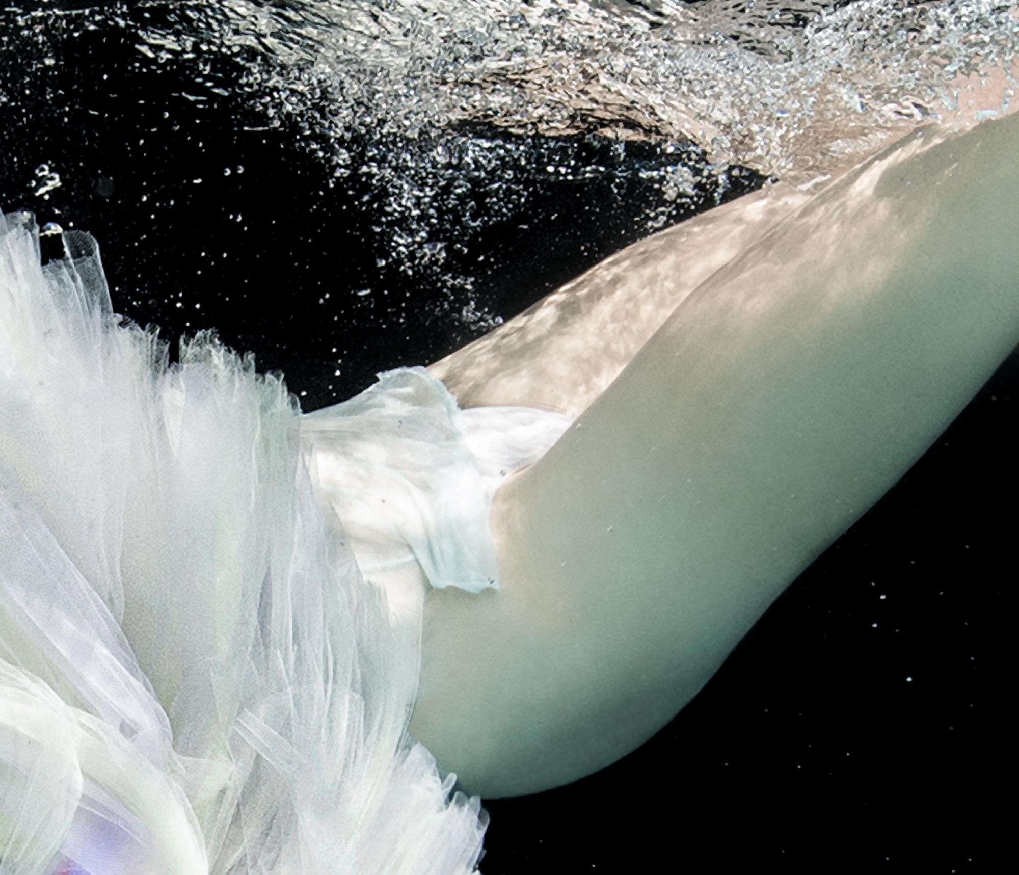 Eine Unterwasser-Schwarzweißfotografie einer jungen Tänzerin beim Tauchen im Pool. Die nackten Tänzerinnen bedecken sich mit einem Tutu-Rock.

Original-Pigmentdruck in Galeriequalität auf Archivpapier, vom Künstler signiert. 
Limitierte Auflage von