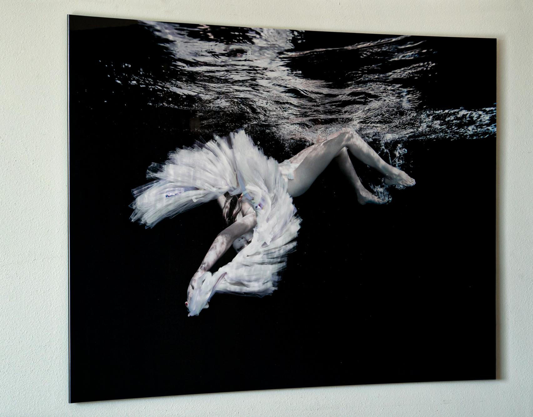 Ballet - underwater black and white nude photograph print on aluminum 42