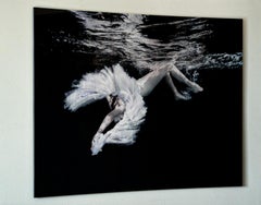 Ballet - underwater black and white nude photograph print on aluminum 42" x 56"