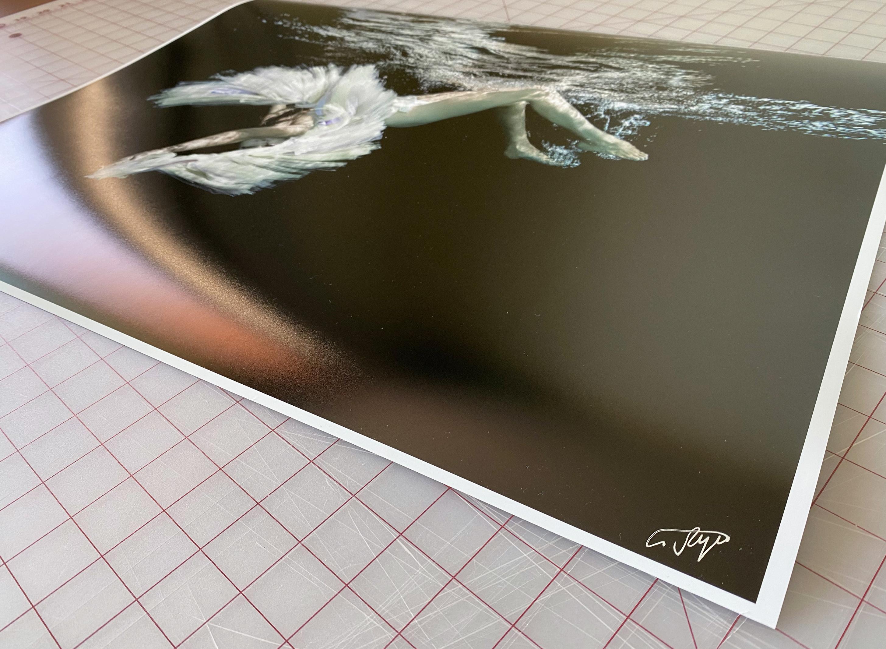 An underwater black and white photograph of a young female dancer diving in pool. The naked dances is covering herself with tutu skirt.

Original gallery quality print signed by the artist. 
Digital archival pigment print on archival paper with