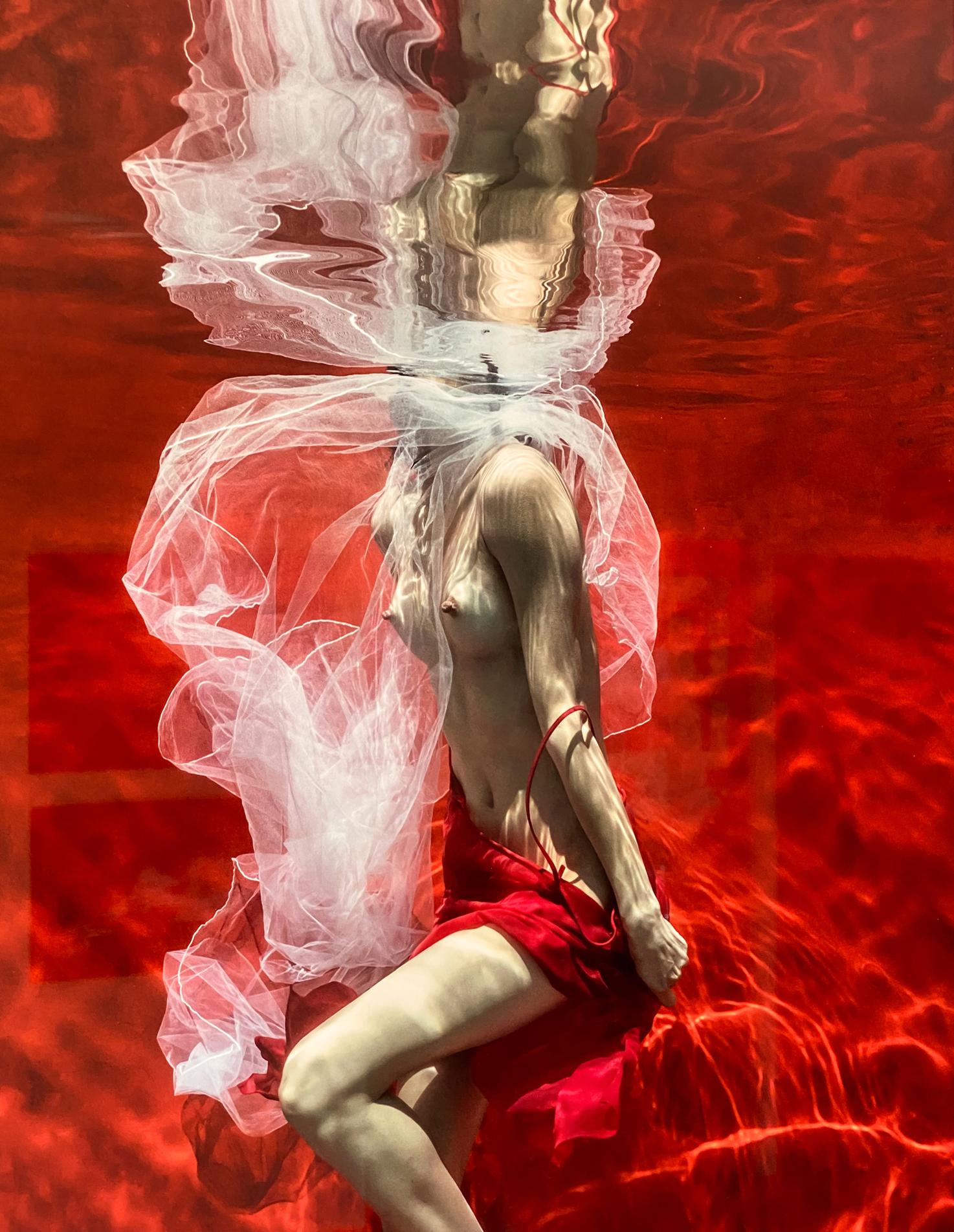 Blood and Milk III   - underwater nude photograph - print on aluminum 36x24