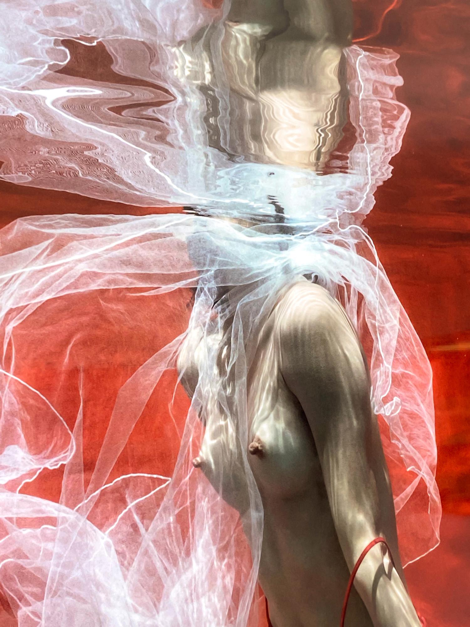 An underwater photograph of a topless young woman with white tulle scarf - taking off her red skirt on bright red background. 

Original digital print on aluminum plate signed by the artist.
Limited edition of 12, print #2
The artwork is furnished