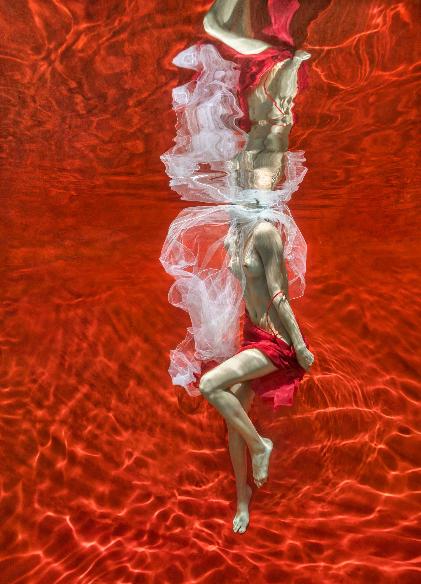 Alex Sher Color Photograph – Blut und Milch III.   Unterwasser-Nacktfotografie – Druck auf Aluminium 36x24"