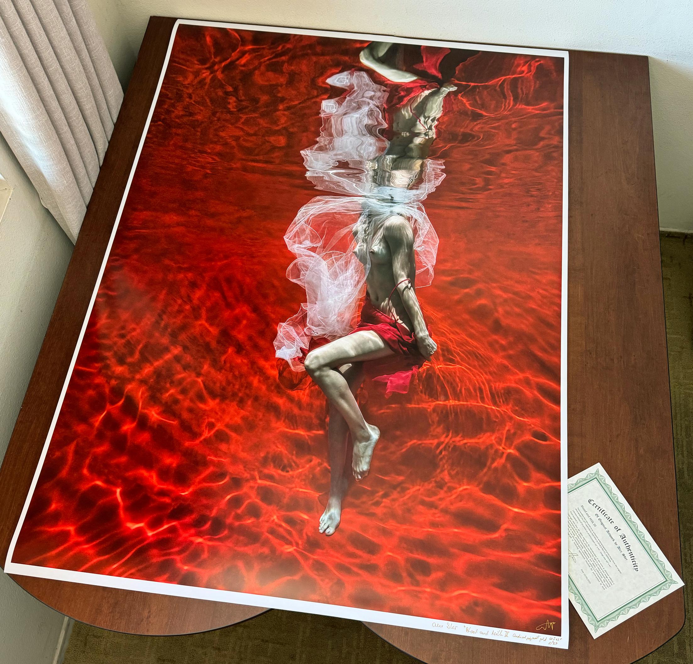 Blood and Milk III - Unterwasser Aktfotografie - Druck auf Papier 60x43