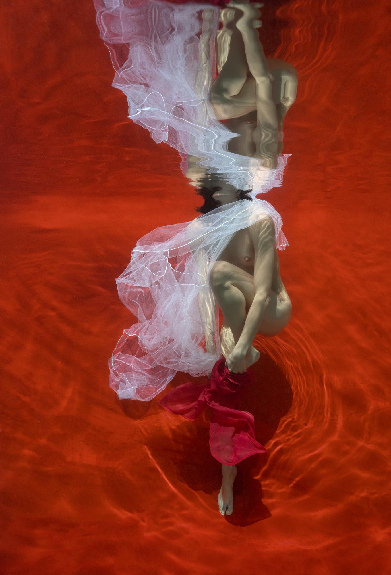 Alex Sher Color Photograph - Blood and Milk V   - underwater nude photograph - print on aluminum 36" x 24"