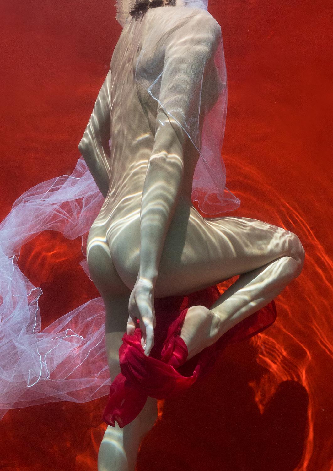 Blood and Milk VII  - underwater nude photograph - print on aluminum 36
