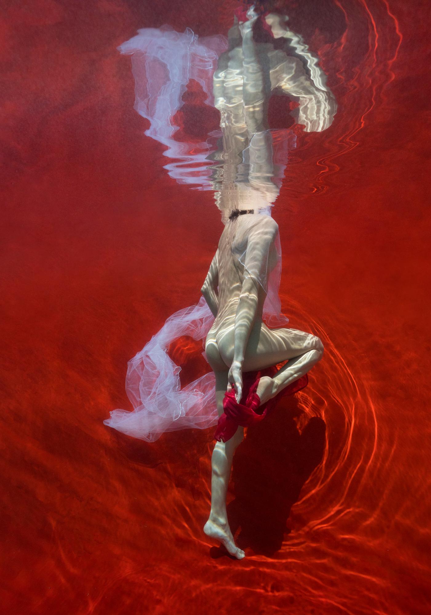 Alex Sher Nude Photograph - Blood and Milk VII  - underwater nude photograph - print on aluminum 36" x 24"