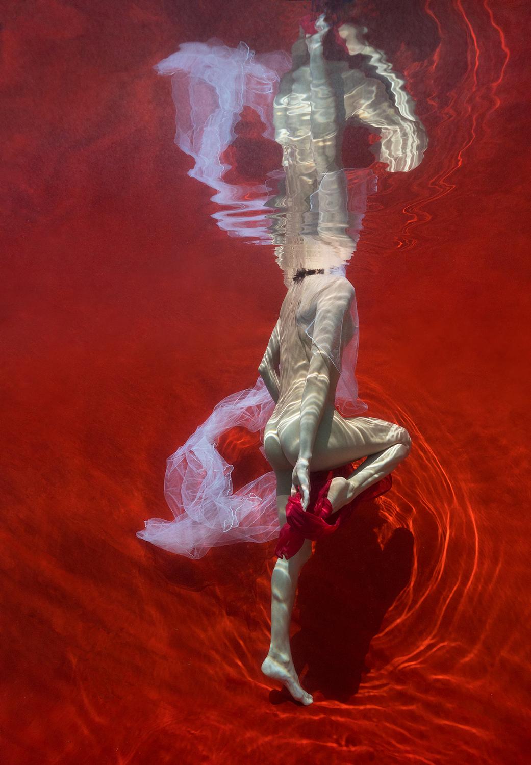 Alex Sher Nude Photograph – Blut und Milch VII  Aktfotografie im Unterwasser - Druck auf Aluminium 36" x 25"