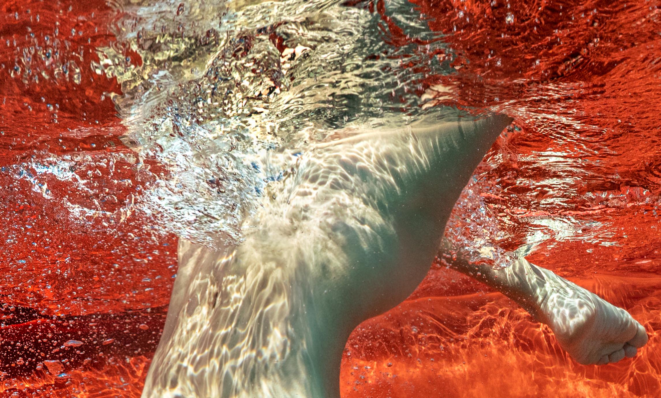 Blut und Milch VIII – Unterwasser-Nacktfotografie – Archivpigmentdruck 57x43“ (Rot), Nude Photograph, von Alex Sher