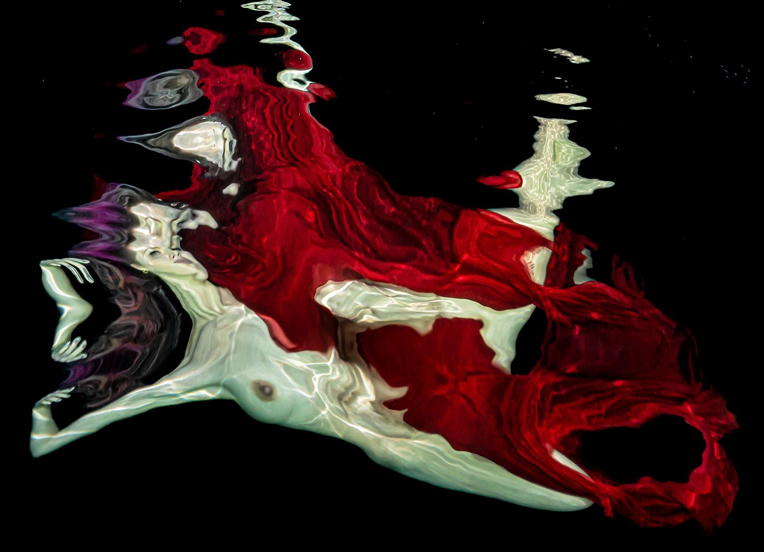 Burdeos - foto de desnudo bajo el agua - impresión sobre aluminio 8 x 12