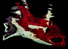 Bordeaux - underwater nude photo - print on aluminum 8 x 12"